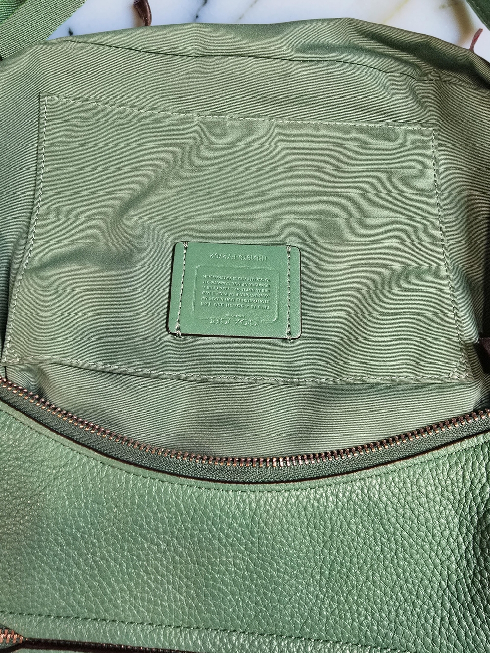 Coach Jes Leather Hobo Bag Mint Green Horse & Carriage-F72702 - Picture 8 of 14